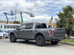
										2019 Ford F-150 full									
