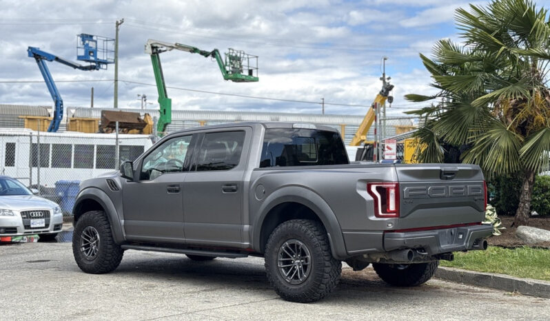 
								2019 Ford F-150 full									