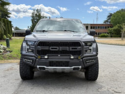
										2019 Ford F-150 full									