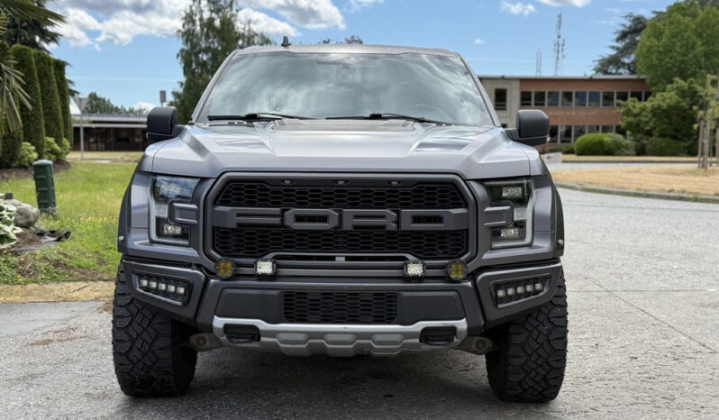 
								2019 Ford F-150 full									