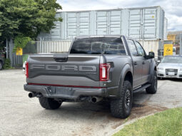 
										2019 Ford F-150 full									