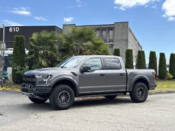 
										2019 Ford F-150 full									
