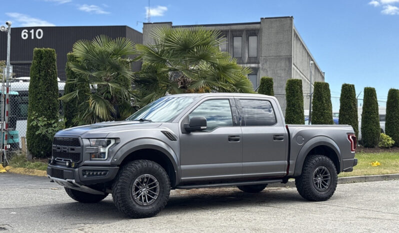 
								2019 Ford F-150 full									