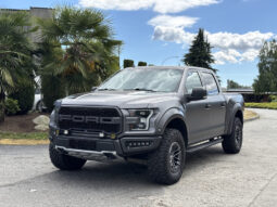 
										2019 Ford F-150 full									