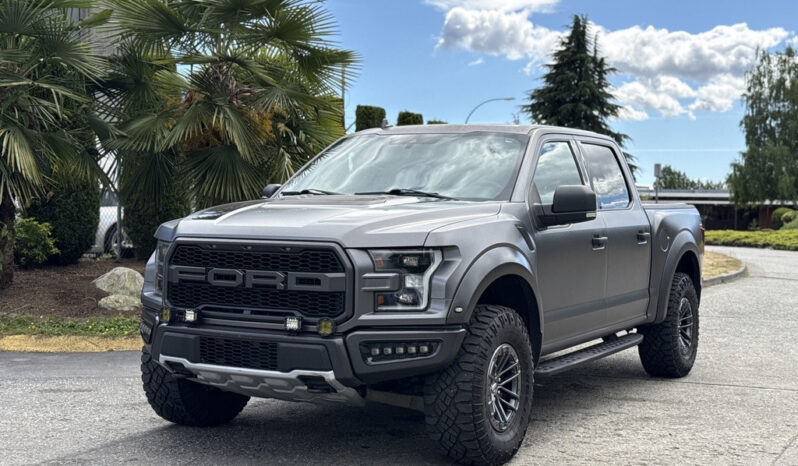 
								2019 Ford F-150 full									