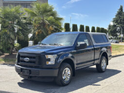
										2015 Ford F-150 full									