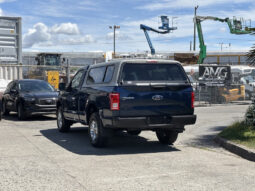 
										2015 Ford F-150 full									