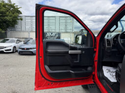 
										2019 Ford F-150 full									