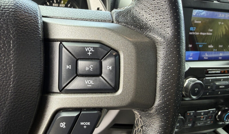 
								2019 Ford F-150 full									