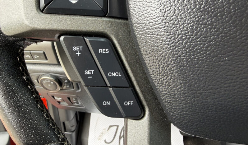 
								2019 Ford F-150 full									