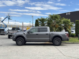
										2019 Ford F-150 full									