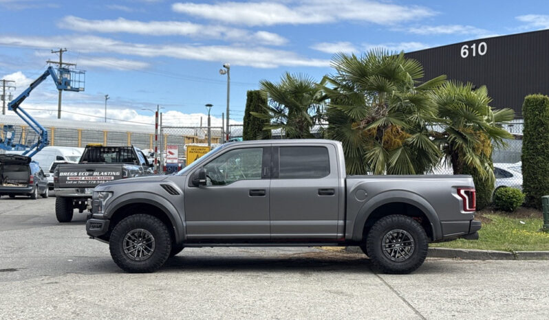 
								2019 Ford F-150 full									