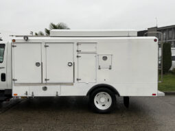 2014 International TerraStar