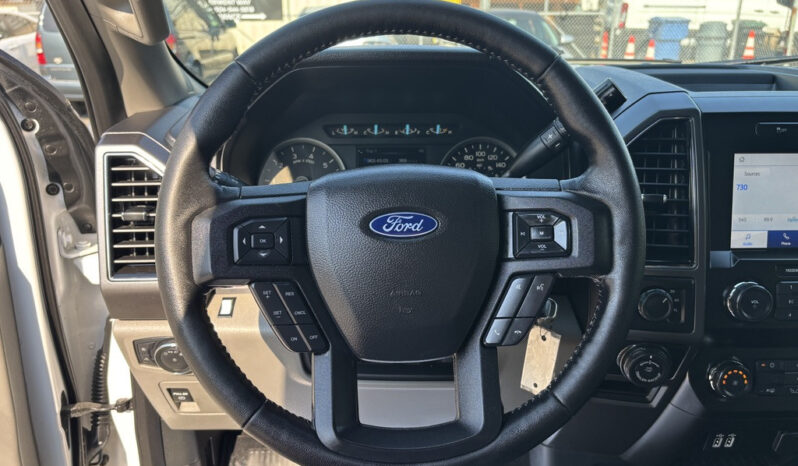 
								2019 Ford F-150 full									