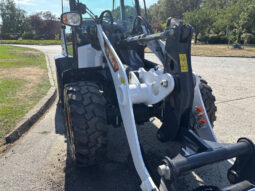 2025 Bobcat L65