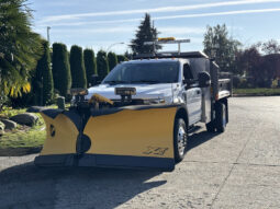
										2017 Ford F-550 Super Duty full									