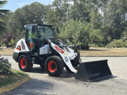 2025 Bobcat L65