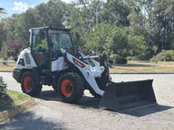 2025 Bobcat L65