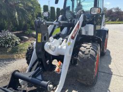 2025 Bobcat L65