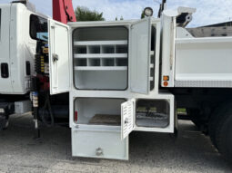 2008 International DuraStar