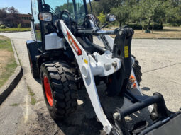 2025 Bobcat L65