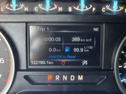
										2019 Ford F-150 full									