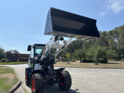 2025 Bobcat L65