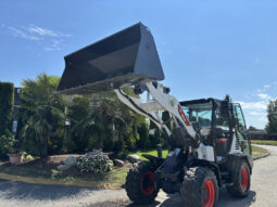 2025 Bobcat L65