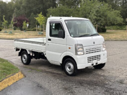 2010 Suzuki Carry