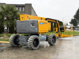 
										2020 Haulotte HA61LEPRO full									