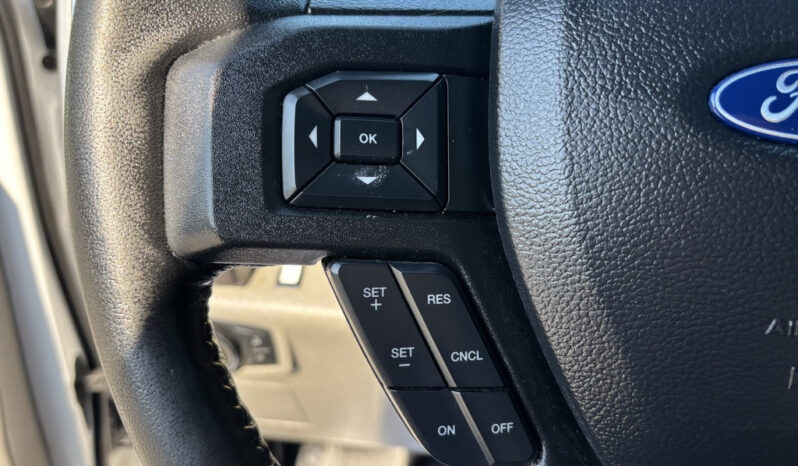 
								2019 Ford F-150 full									