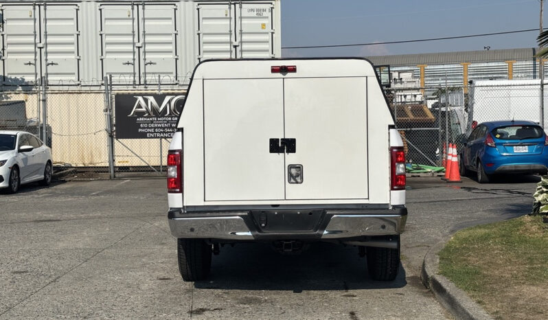 
								2019 Ford F-150 full									