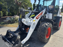 2025 Bobcat L65