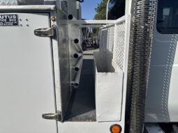 2006 International DuraStar