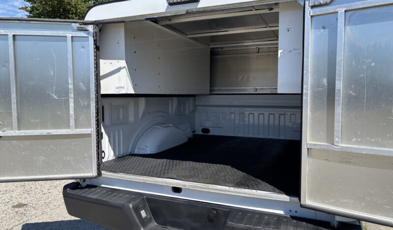 
								2019 Ford F-150 full									