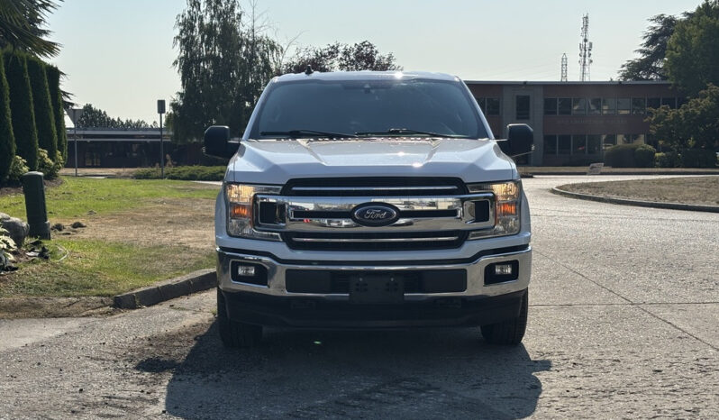 
								2019 Ford F-150 full									